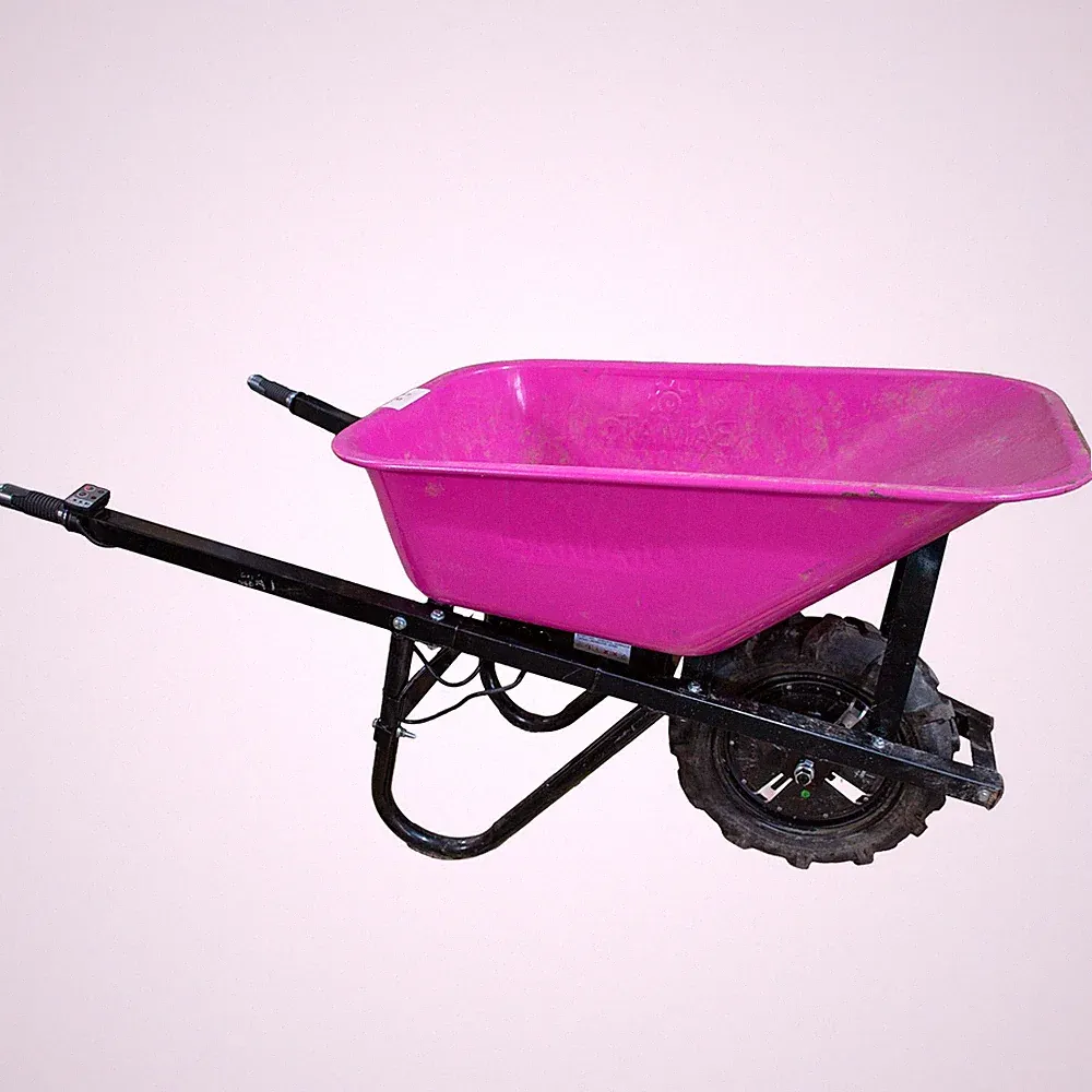 BAMATO elektrische Schubkarre MTR-155 Pink Akku 150kg Motorschubkarre gebraucht