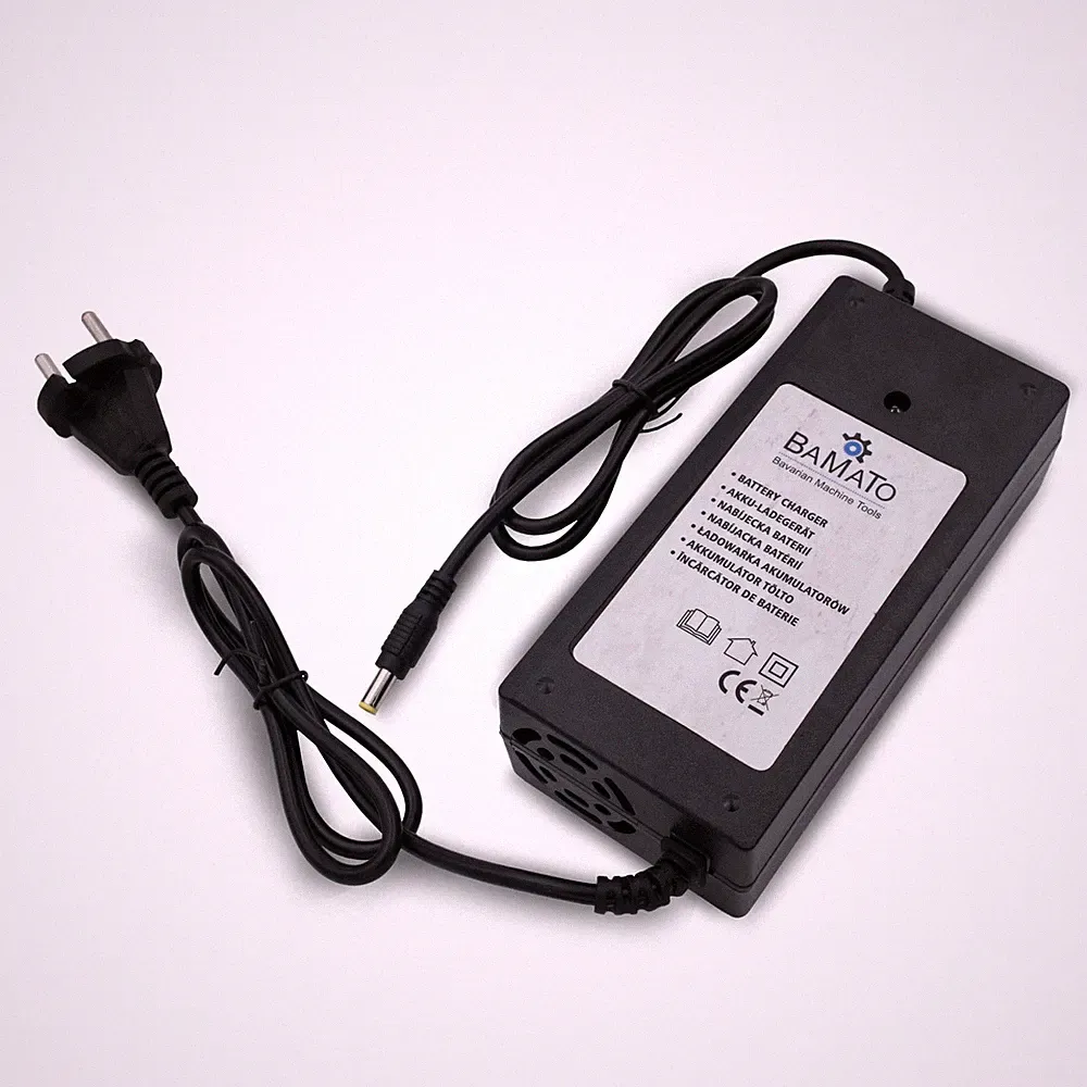 BAMATO Ladegerät zum Akku Batterie für MTR-300W elektrische Schubkarre