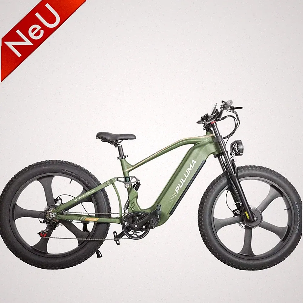 Dual-Motor Elektrisches Mountainbike 2000W Motor 52V 20AH E-Bike 26“ Reifen MTB