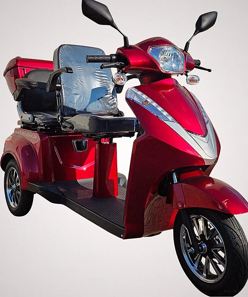 ElektroBest 1000W 60V 20Ah Elektromobil für 2 Personen SeniorenMobil bis 25kmh