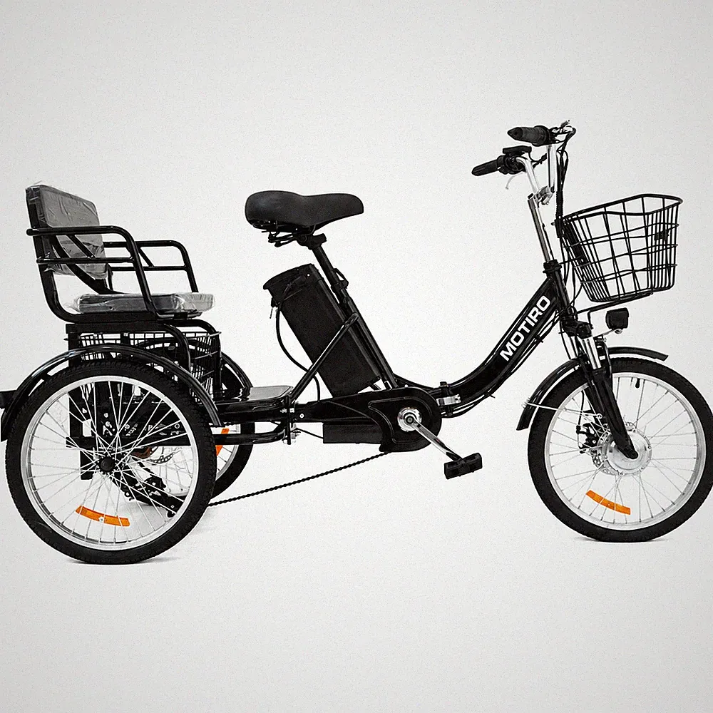 Klappbares Elektro Dreirad 20 Zoll 36V Lastenfahrrad bis 150 kg Elektrofahrrad