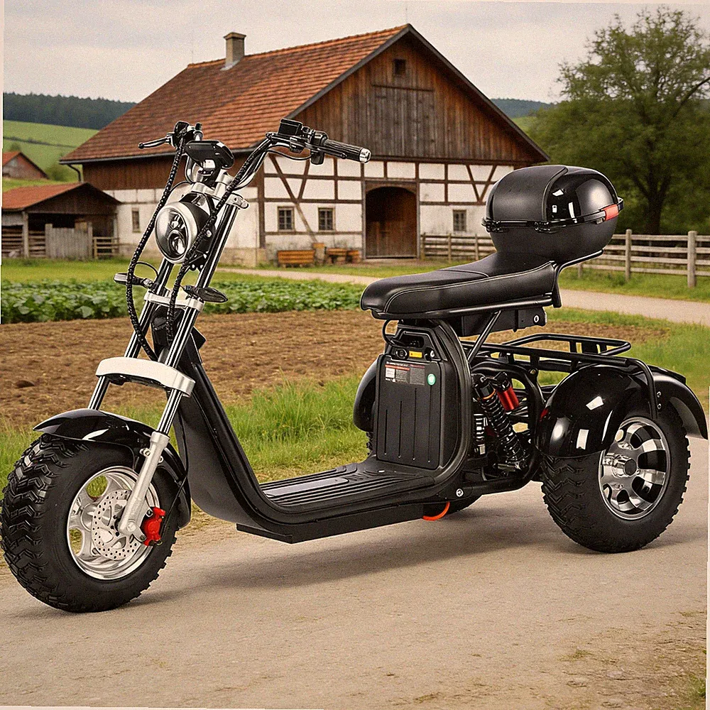 Senioren und Behinderte 2000W 25-45KM/H Deutsche Straßenzertifizierung COC